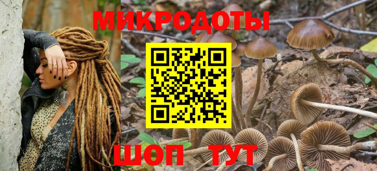 закладка  Псилоцибиновые грибы ЛСД  Вход с VPN  Ахтубинск 