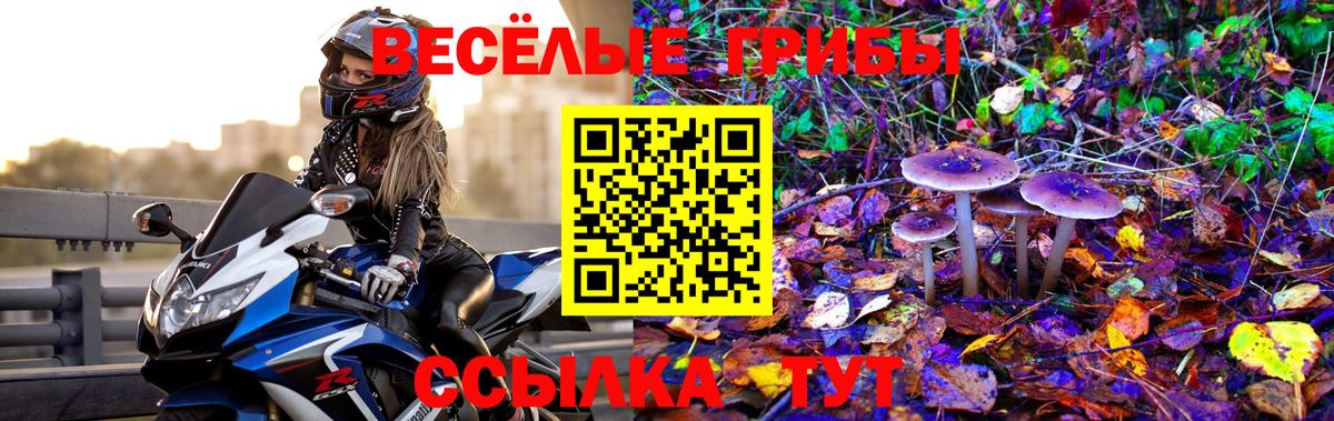 Галлюциногенные грибы Psilocybine cubensis Ахтубинск