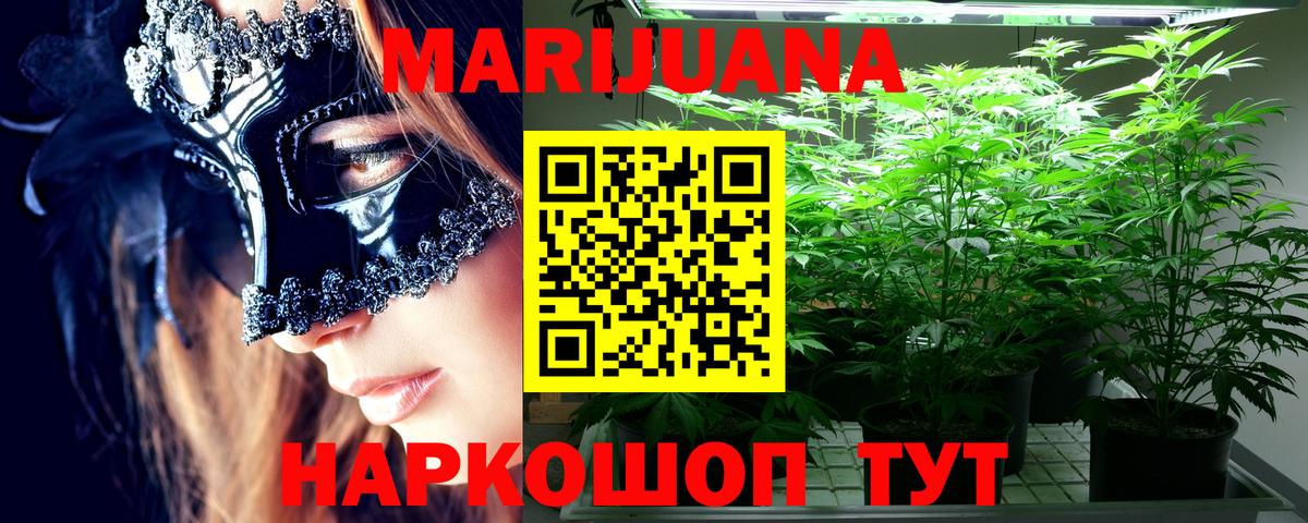 Каннабис сатива Ахтубинск
